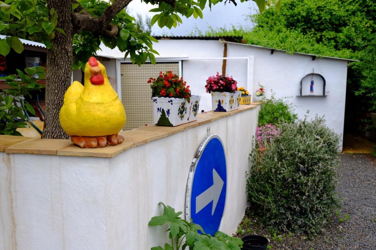 Willa The Shed Cehegín Zewnętrze zdjęcie